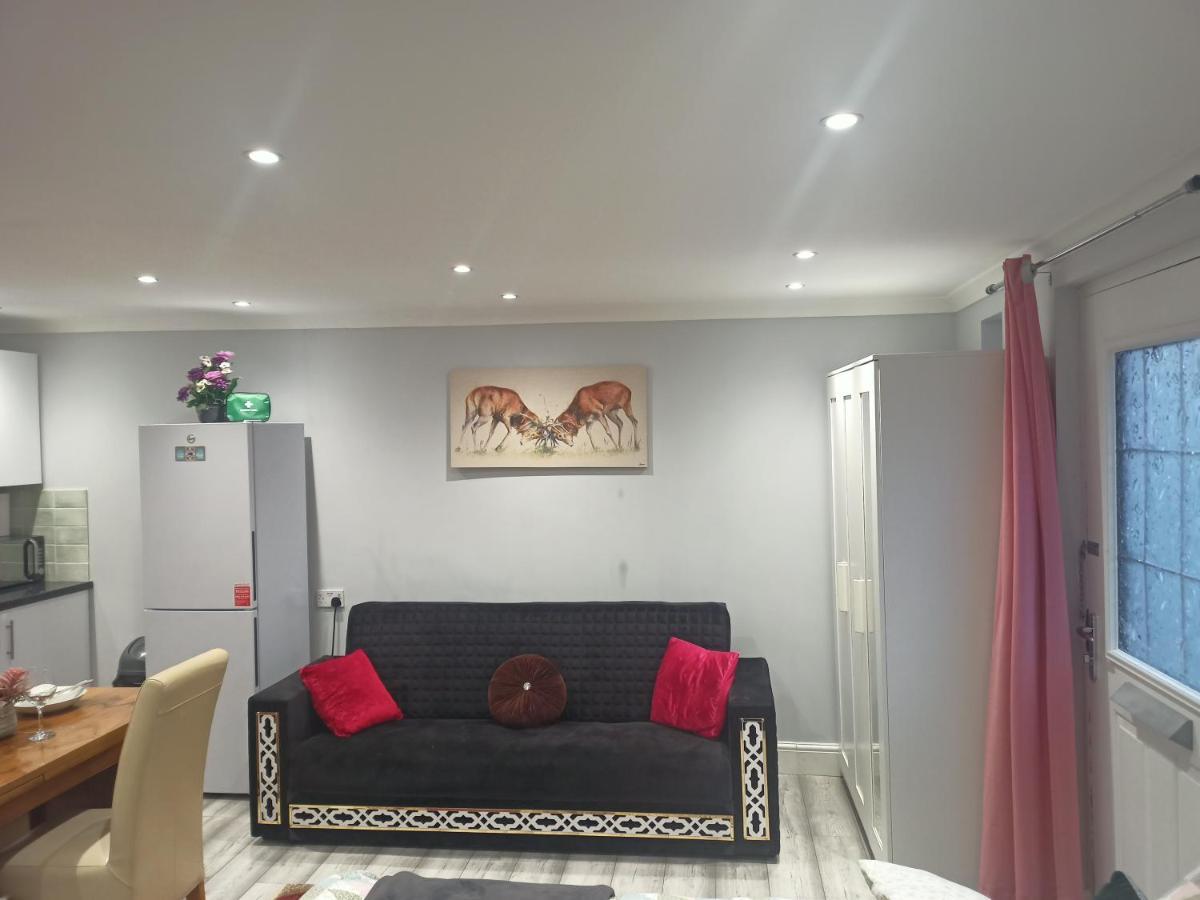 Homey Studio In Newport Perfect For Couples & Travelers エクステリア 写真